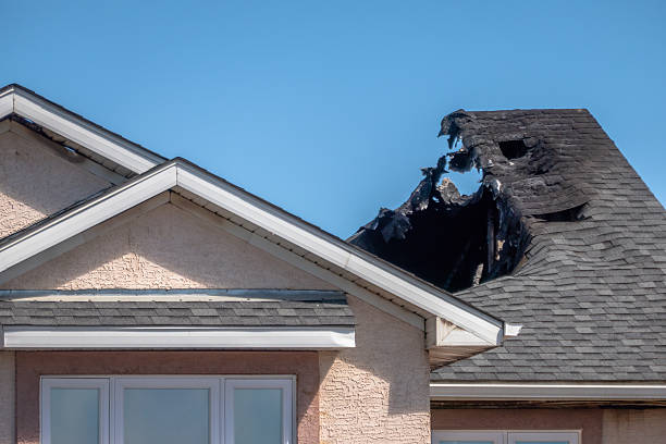 Top rated local Fire Damage Removal specialists in Darby, PA